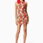 Roselyn Embroidered Mini Dress In Red