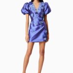 Oleander Mini Puff Sleeve Dress