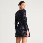INES - Image 2
