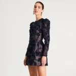 INES - Image 3