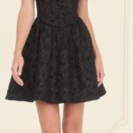 Mia Fit And Flare Embroidery Cap Sleeve Dress