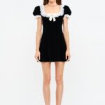 Mabel Lace Neckline & Sleeve Mini Dress