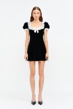 Mabel Lace Neckline & Sleeve Mini Dress