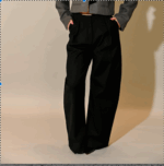 Alexis Wide Leg Pleat Front Pant - Image 4