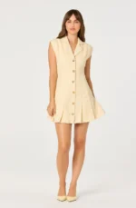 Diannie Tweed Mini Dress
