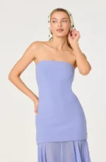 Lizet Strapless Mini Dress with Sheer Maxi Overlay - Image 3