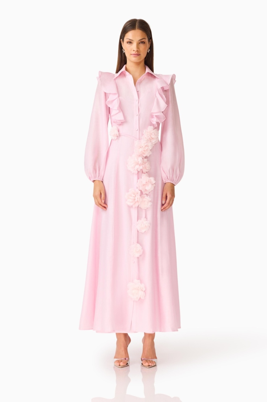 E1082694_PALEPINK_1 Fiorina Long Sleeve Maxi Dress - Image 1