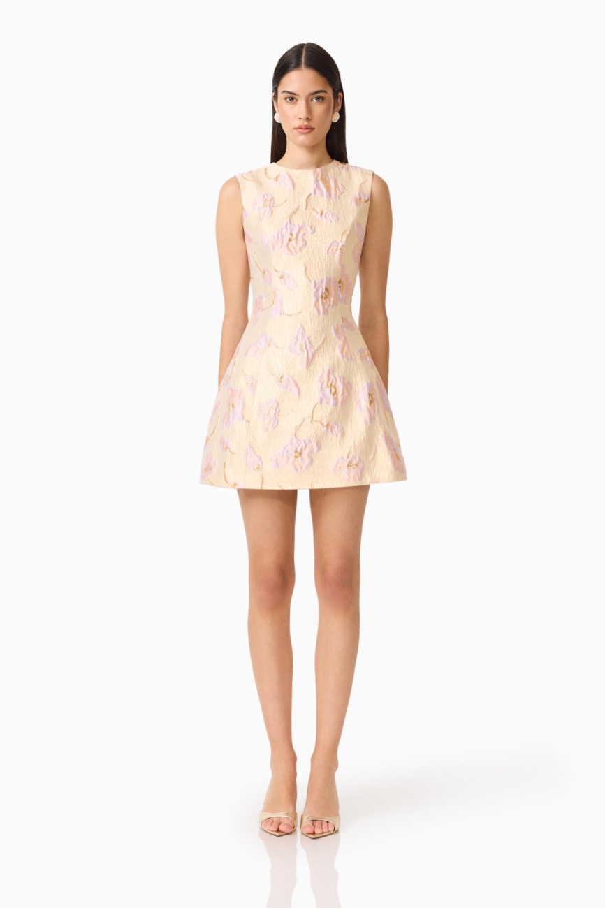 EB1082611_CREAMMULTI_1 Carys A-Line Mini Dress - Image 1