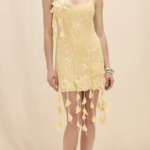 IARA CROCHET MINI DRESS