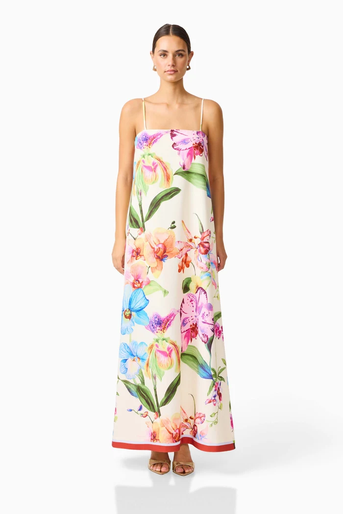glinda f Glinda A-Line Maxi Dress - Image 1